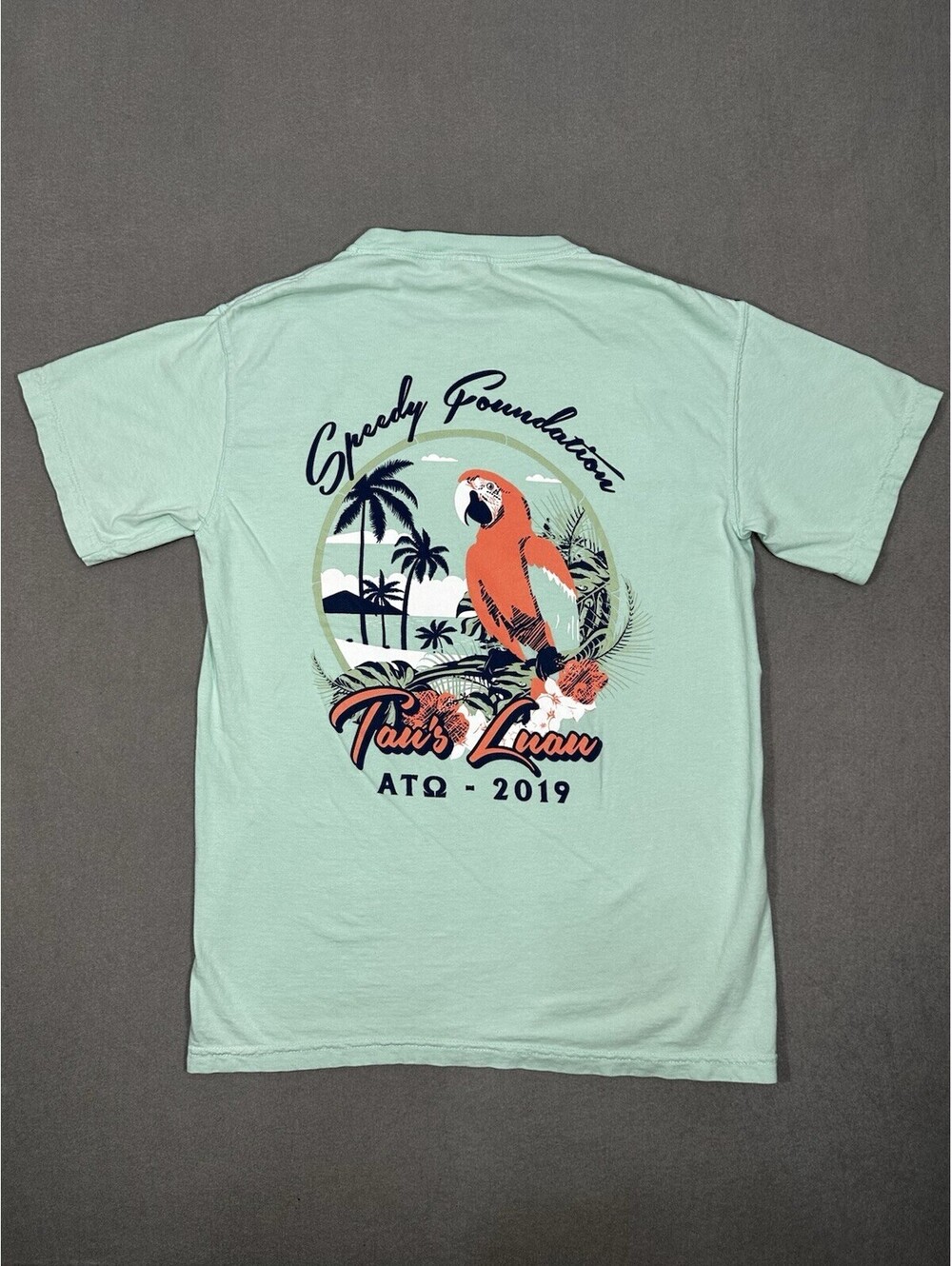 Comfort Colors Small Mint Green Pocket T Shirt ATQ Greedy Foundation 2019 Cotton